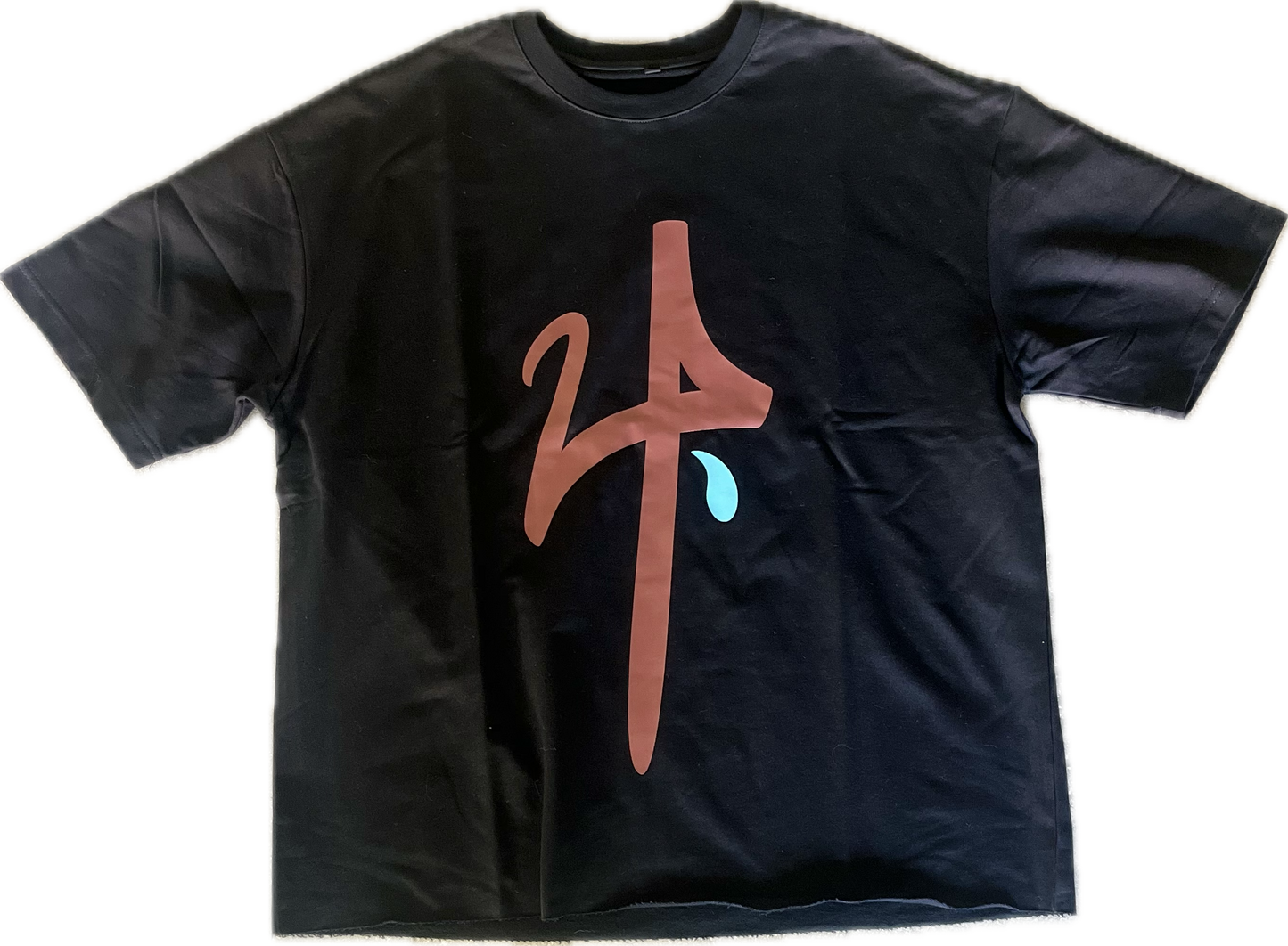 Brown&Blue 2024 Cropped Tshirt